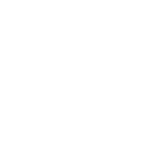 FDS logo