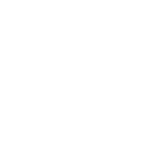 SSAT logo