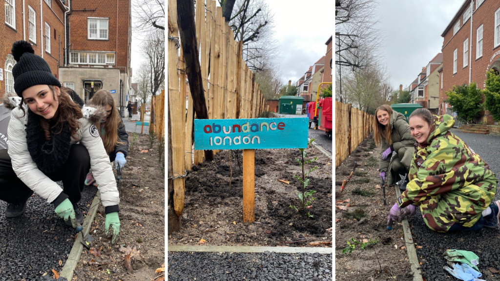 Left photo: Day School & Sixth Form students planting trees. Middle photo: Sign by Abundance London. Right Photo: Development office staff, Mary Ann and Daisy